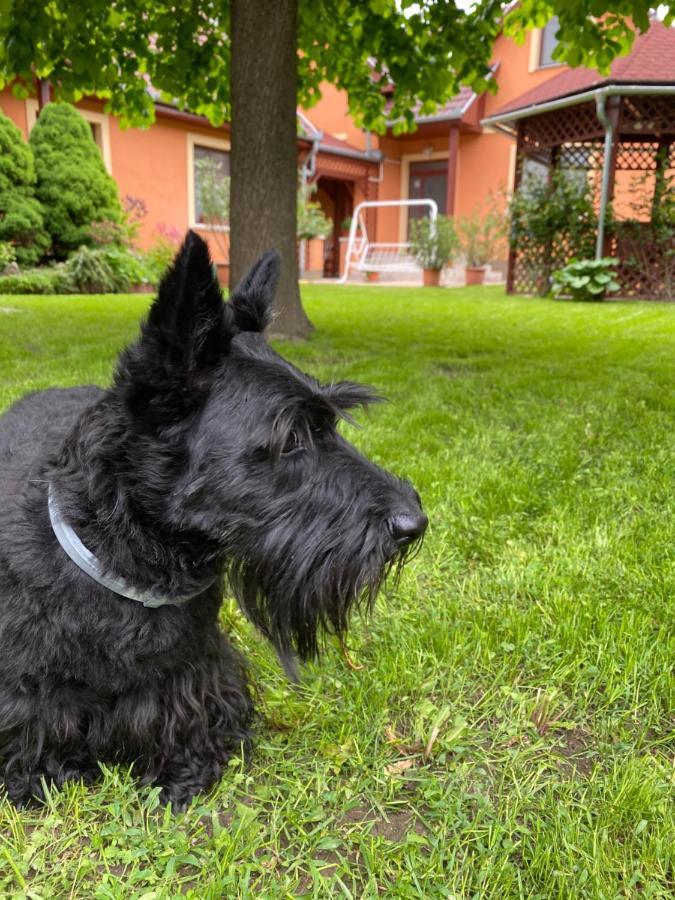 Apartman Dora Hajdúszoboszló Exteriér fotografie
