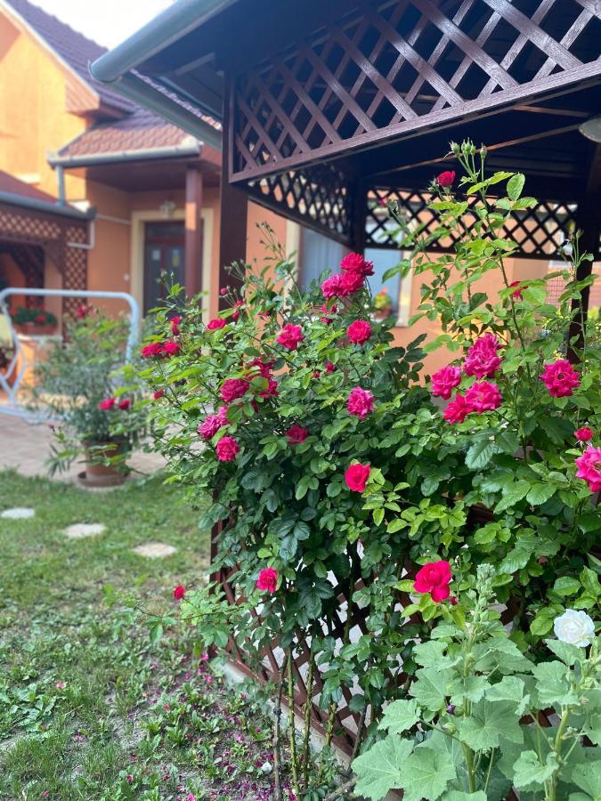 Apartman Dora Hajdúszoboszló Exteriér fotografie